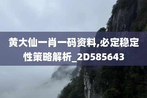 黄大仙一肖一码资料,必定稳定性策略解析_2D585643