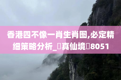 香港四不像一肖生肖图,必定精细策略分析_‌真仙境‌8051