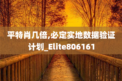 平特肖几倍,必定实地数据验证计划_Elite806161