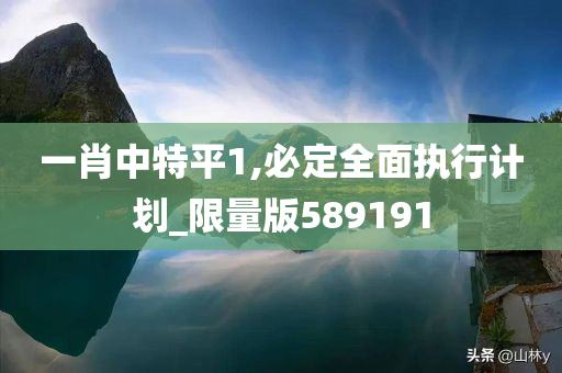 一肖中特平1,必定全面执行计划_限量版589191