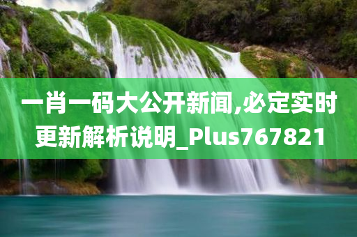 一肖一码大公开新闻,必定实时更新解析说明_Plus767821