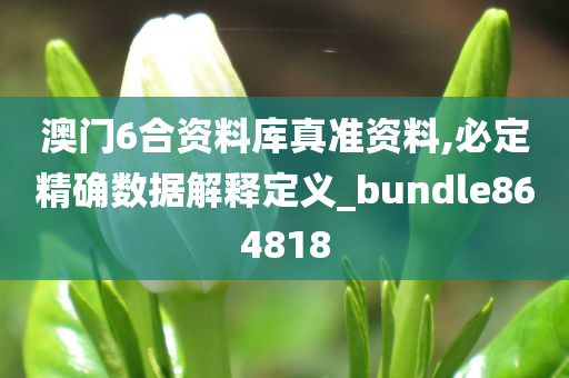 澳门6合资料库真准资料,必定精确数据解释定义_bundle864818