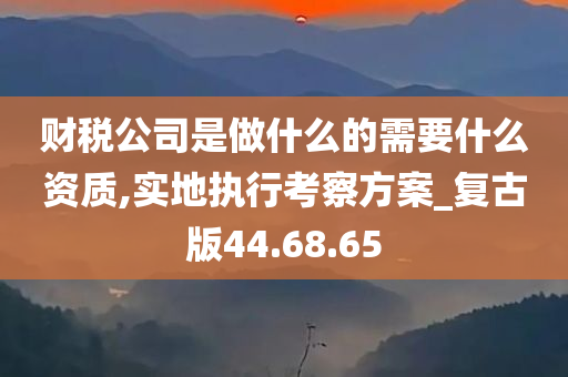 财税公司是做什么的需要什么资质,实地执行考察方案_复古版44.68.65