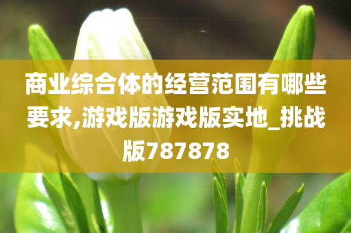 商业综合体的经营范围有哪些要求,游戏版游戏版实地_挑战版787878