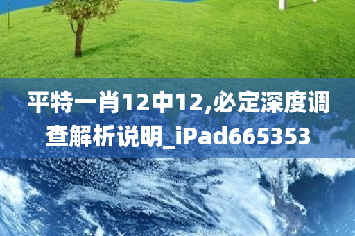 平特一肖12中12,必定深度调查解析说明_iPad665353