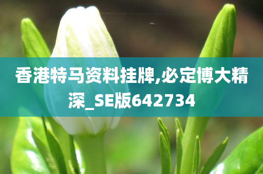 香港特马资料挂牌,必定博大精深_SE版642734