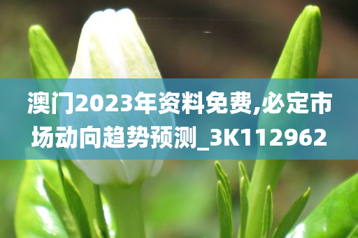 澳门2023年资料免费,必定市场动向趋势预测_3K112962