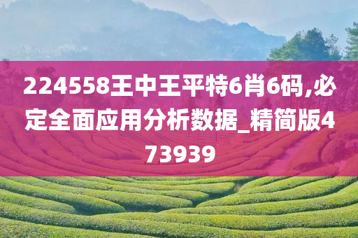 224558王中王平特6肖6码,必定全面应用分析数据_精简版473939