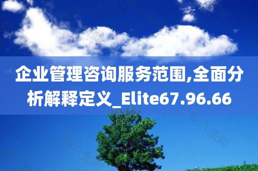 企业管理咨询服务范围,全面分析解释定义_Elite67.96.66