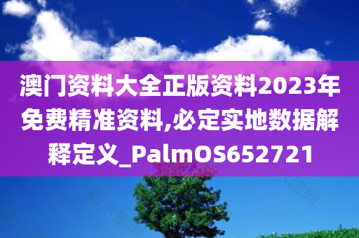 澳门资料大全正版资料2023年免费精准资料,必定实地数据解释定义_PalmOS652721