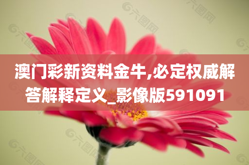 澳门彩新资料金牛,必定权威解答解释定义_影像版591091