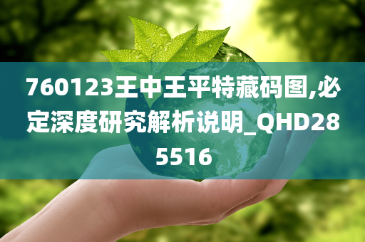 760123王中王平特藏码图,必定深度研究解析说明_QHD285516