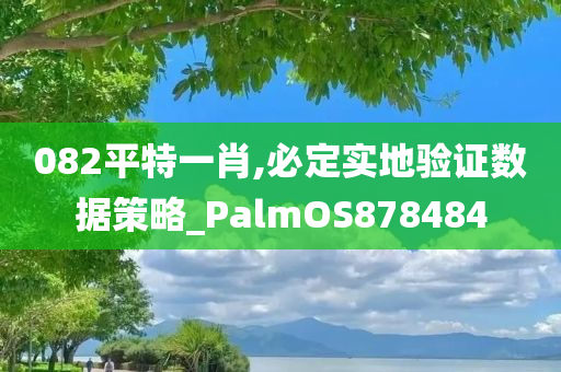 082平特一肖,必定实地验证数据策略_PalmOS878484