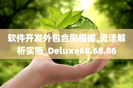 软件开发外包合同模板,灵活解析实施_Deluxe68.68.86