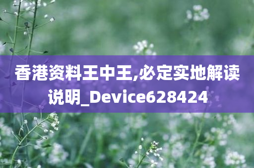 香港资料王中王,必定实地解读说明_Device628424