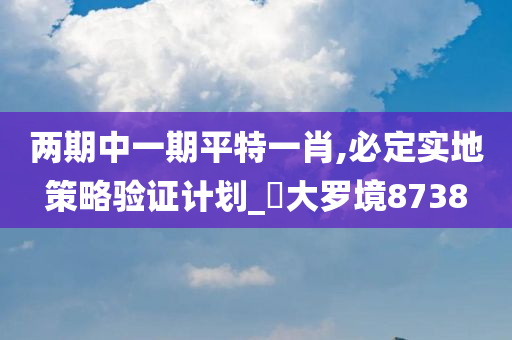 两期中一期平特一肖,必定实地策略验证计划_‌大罗境8738