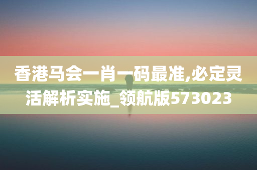 香港马会一肖一码最准,必定灵活解析实施_领航版573023