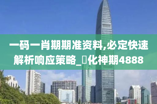 一码一肖期期准资料,必定快速解析响应策略_‌化神期4888