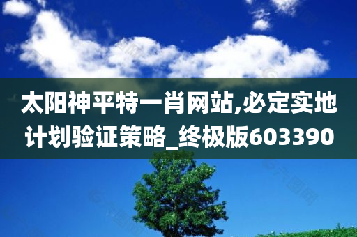 太阳神平特一肖网站,必定实地计划验证策略_终极版603390