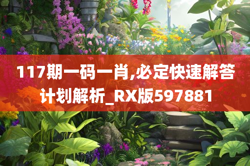 117期一码一肖,必定快速解答计划解析_RX版597881