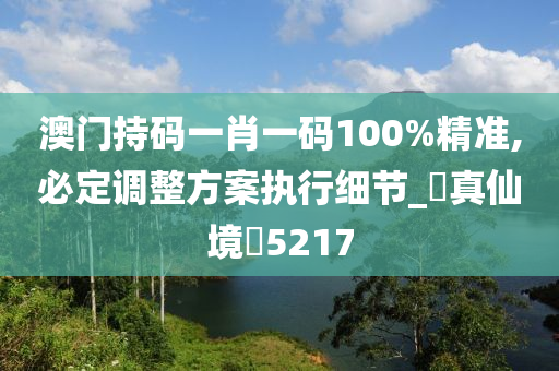 澳门持码一肖一码100%精准,必定调整方案执行细节_‌真仙境‌5217