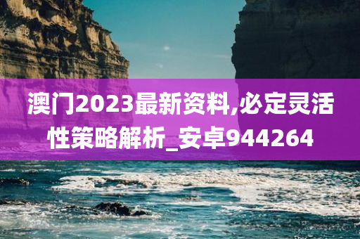 澳门2023最新资料,必定灵活性策略解析_安卓944264