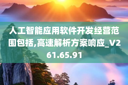 人工智能应用软件开发经营范围包括,高速解析方案响应_V261.65.91