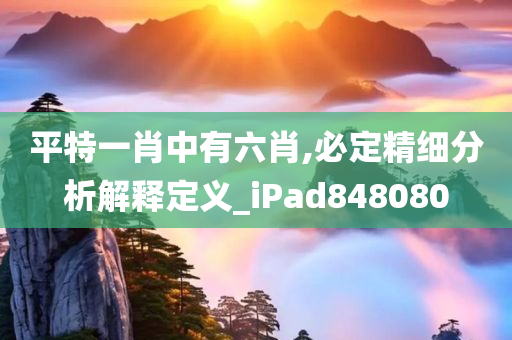 平特一肖中有六肖,必定精细分析解释定义_iPad848080