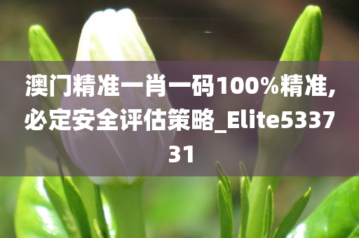 澳门精准一肖一码100%精准,必定安全评估策略_Elite533731