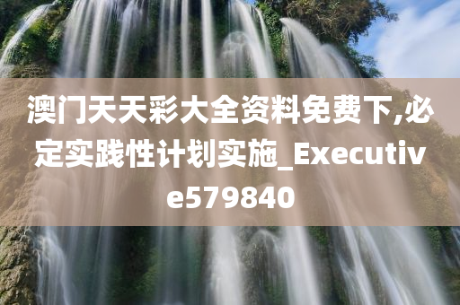 澳门天天彩大全资料免费下,必定实践性计划实施_Executive579840