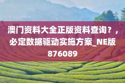 澳门资料大全正版资料查询？,必定数据驱动实施方案_NE版876089