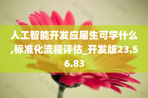 人工智能开发应届生可学什么,标准化流程评估_开发版23.56.83