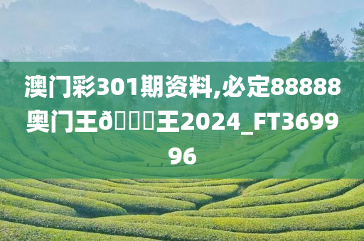 澳门彩301期资料,必定88888奥门王🀄王2024_FT369996