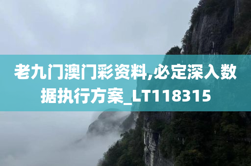 老九门澳门彩资料,必定深入数据执行方案_LT118315