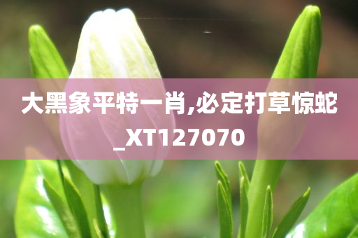 大黑象平特一肖,必定打草惊蛇_XT127070