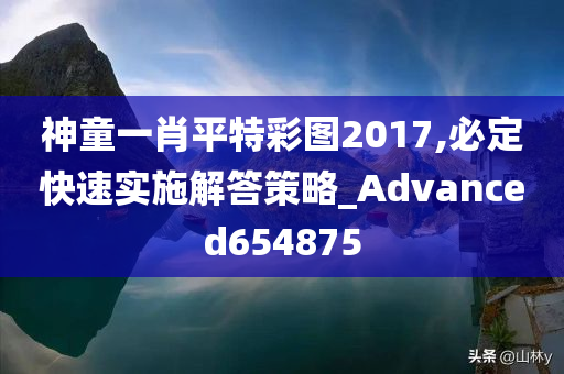 神童一肖平特彩图2017,必定快速实施解答策略_Advanced654875