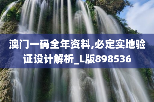 澳门一码全年资料,必定实地验证设计解析_L版898536