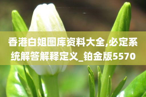 香港白姐图库资料大全,必定系统解答解释定义_铂金版5570