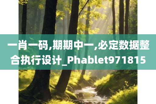 一肖一码,期期中一,必定数据整合执行设计_Phablet971815