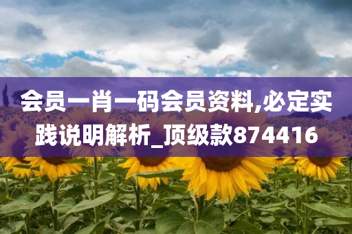 会员一肖一码会员资料,必定实践说明解析_顶级款874416