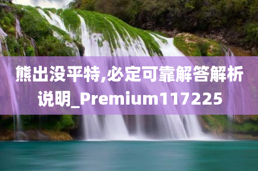 熊出没平特,必定可靠解答解析说明_Premium117225