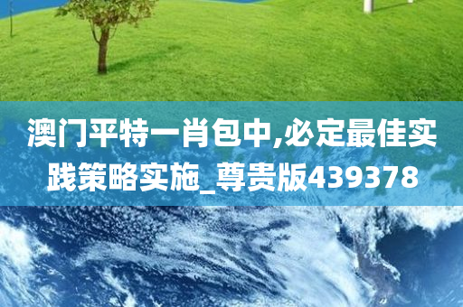 澳门平特一肖包中,必定最佳实践策略实施_尊贵版439378