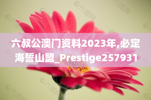 六叔公澳门资料2023年,必定海誓山盟_Prestige257931