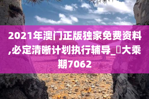 2021年澳门正版独家免费资料,必定清晰计划执行辅导_‌大乘期7062