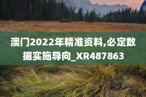 澳门2022年精准资料,必定数据实施导向_XR487863