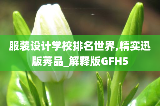 服装设计学校排名世界,精实迅版莠品_解释版GFH5