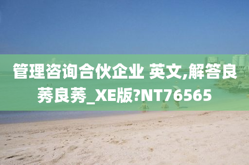 管理咨询合伙企业 英文,解答良莠良莠_XE版?NT76565