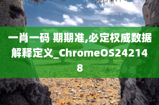 一肖一码 期期准,必定权威数据解释定义_ChromeOS242148