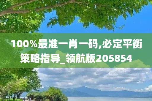 100%最准一肖一码,必定平衡策略指导_领航版205854