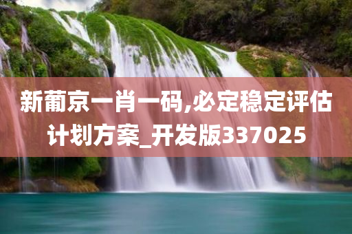 新葡京一肖一码,必定稳定评估计划方案_开发版337025